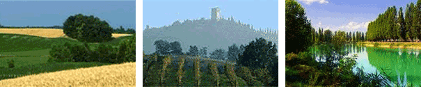 Territorio Territorio